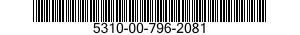 5310-00-796-2081  5310007962081 007962081