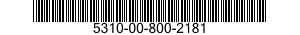 5310-00-800-2181  5310008002181 008002181
