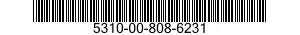 5310-00-808-6231  5310008086231 008086231