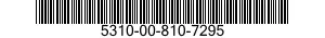 5310-00-810-7295  5310008107295 008107295