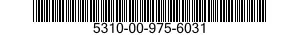 5310-00-975-6031  5310009756031 009756031