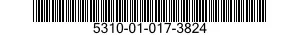 5310-01-017-3824  5310010173824 010173824