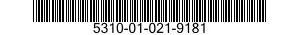 5310-01-021-9181 NUT,PLAIN,EXTENDED WASHER,DOUBLE HEXAGON 5310010219181 010219181