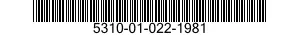 5310-01-022-1981  5310010221981 010221981