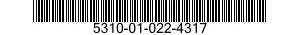 5310-01-022-4317  5310010224317 010224317
