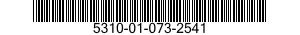 5310-01-073-2541 NUT,PLAIN,BLIND RIVET 5310010732541 010732541