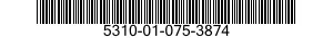 5310-01-075-3874 WASHER,FLAT 5310010753874 010753874