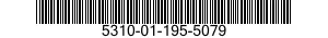 5310-01-195-5079 NUT,PLAIN,INTERNAL WRENCHING 5310011955079 011955079