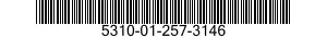 5310-01-257-3146 NUT,SELF-LOCKING,EXTENDED WASHER,DOUBLE HEXAGON 5310012573146 012573146