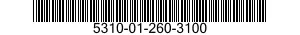 5310-01-260-3100 NUT 5310012603100 012603100