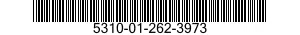 5310-01-262-3973  5310012623973 012623973