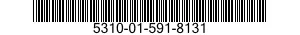 5310-01-591-8131 NUT,PLAIN,EXTENDED WASHER,HEXAGON 5310015918131 015918131