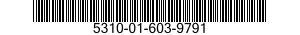 5310-01-603-9791 NUT,SELF-LOCKING,CLINCH 5310016039791 016039791