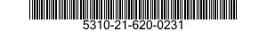 5310-21-620-0231  5310216200231 216200231