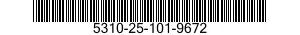 5310-25-101-9672  5310251019672 251019672