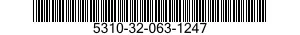 5310-32-063-1247 WASHER,LOCK 5310320631247 320631247