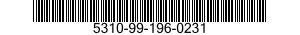 5310-99-196-0231  5310991960231 991960231