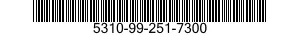 5310-99-251-7300 NUT,PLAIN,HEXAGON 5310992517300 992517300