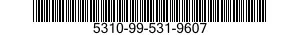 5310-99-531-9607  5310995319607 995319607
