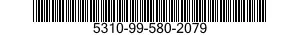 5310-99-580-2079  5310995802079 995802079