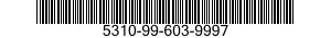 5310-99-603-9997 NUT,SELF-LOCKING,EXTENDED WASHER,DOUBLE HEXAGON 5310996039997 996039997