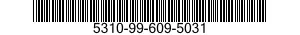 5310-99-609-5031  5310996095031 996095031