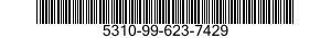5310-99-623-7429 WASHER 5310996237429 996237429