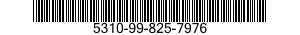 5310-99-825-7976  5310998257976 998257976