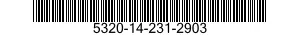 5320-14-231-2903  5320142312903 142312903