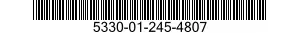 5330-01-245-4807 GASKET 5330012454807 012454807