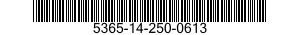 5365-14-250-0613  5365142500613 142500613