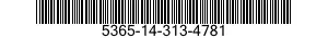 5365-14-313-4781  5365143134781 143134781