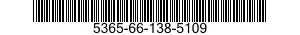 5365-66-138-5109 SHIM SET 5365661385109 661385109