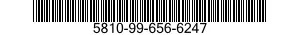 5810-99-656-6247  5810996566247 996566247