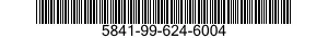 5841-99-624-6004  5841996246004 996246004