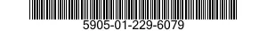 5905-01-229-6079  5905012296079 012296079