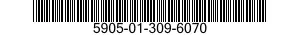 5905-01-309-6070  5905013096070 013096070