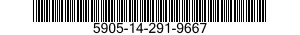 5905-14-291-9667  5905142919667 142919667