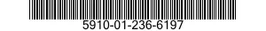5910-01-236-6197  5910012366197 012366197