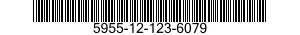 5955-12-123-6079  5955121236079 121236079