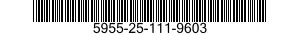 5955-25-111-9603  5955251119603 251119603