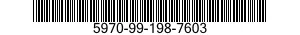 5970-99-198-7603  5970991987603 991987603