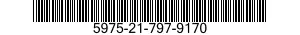 5975-21-797-9170  5975217979170 217979170