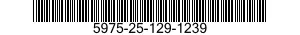5975-25-129-1239  5975251291239 251291239