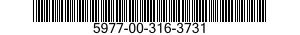5977-00-316-3731  5977003163731 003163731