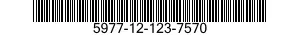 5977-12-123-7570  5977121237570 121237570