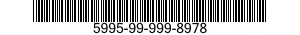 5995-99-999-8978  5995999998978 999998978