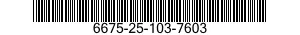 6675-25-103-7603  6675251037603 251037603