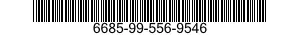 6685-99-556-9546  6685995569546 995569546