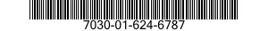 7030-01-624-6787 SOFTWARE,DOWN-LOADABLE 7030016246787 016246787